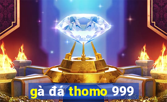 gà đá thomo 999