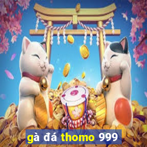 gà đá thomo 999