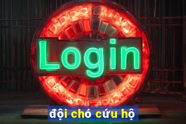 đội chó cứu hộ