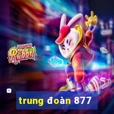 trung đoàn 877