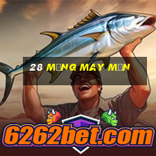 28 Mạng may mắn