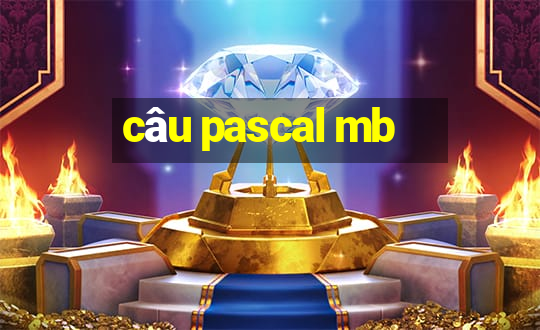 câu pascal mb