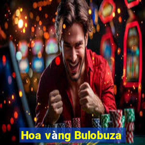 Hoa vàng Bulobuza