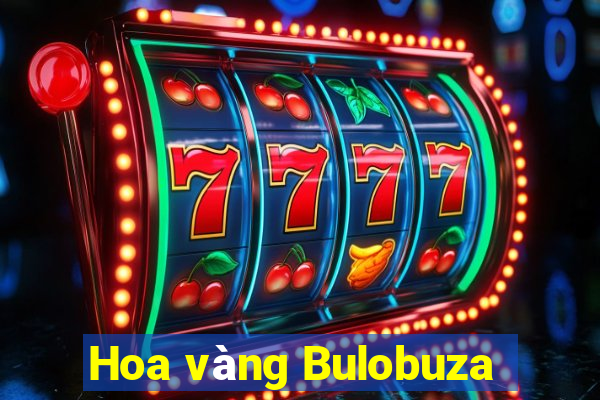 Hoa vàng Bulobuza