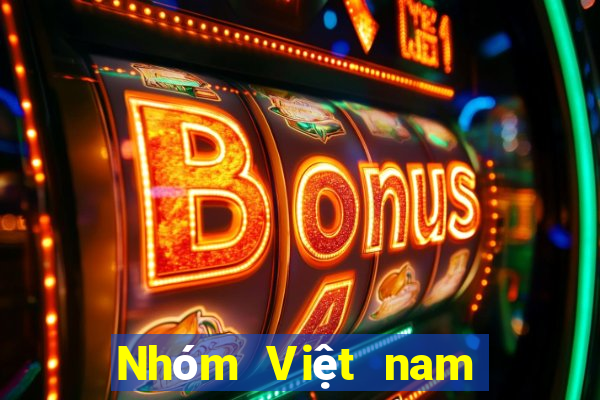 Nhóm Việt nam hội chợ điện tử