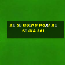 xổ số quảng ngãi xổ số gia lai