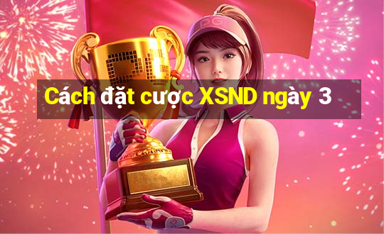 Cách đặt cược XSND ngày 3