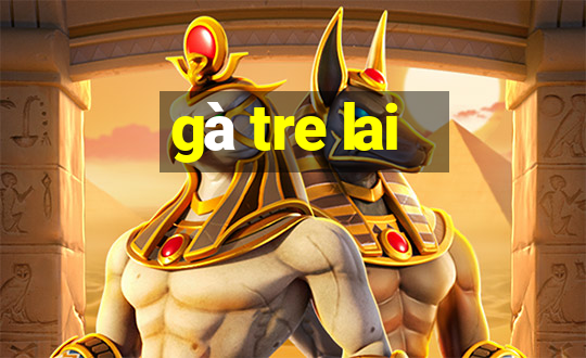 gà tre lai