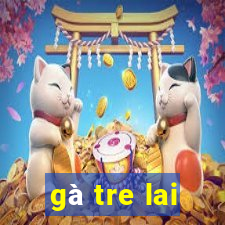 gà tre lai