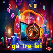 gà tre lai