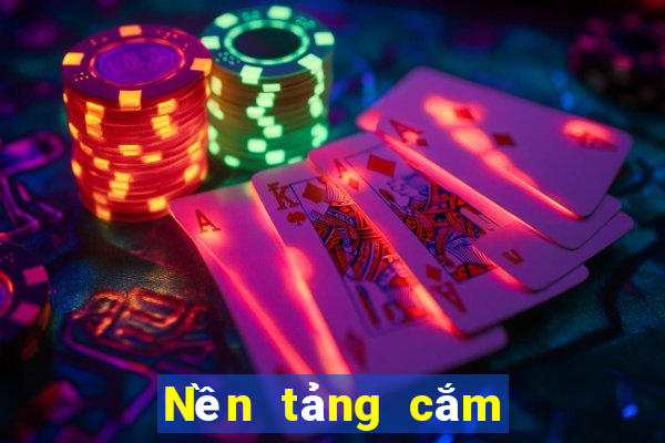 Nền tảng cắm trang web Việt nam