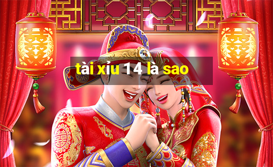 tài xỉu 1 4 là sao