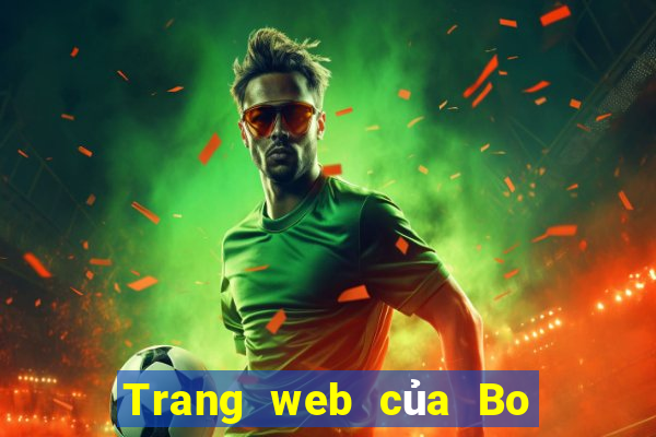 Trang web của Bo e 100