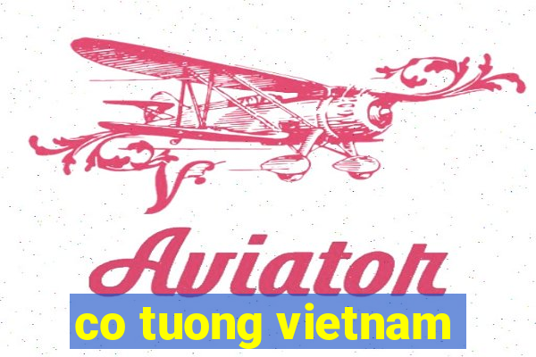 co tuong vietnam