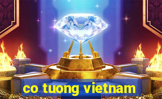 co tuong vietnam