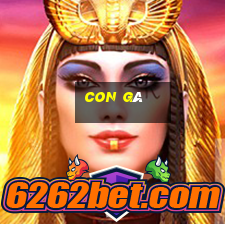 con gà