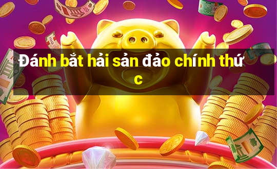 Đánh bắt hải sản đảo chính thức