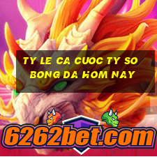 ty le ca cuoc ty so bong da hom nay