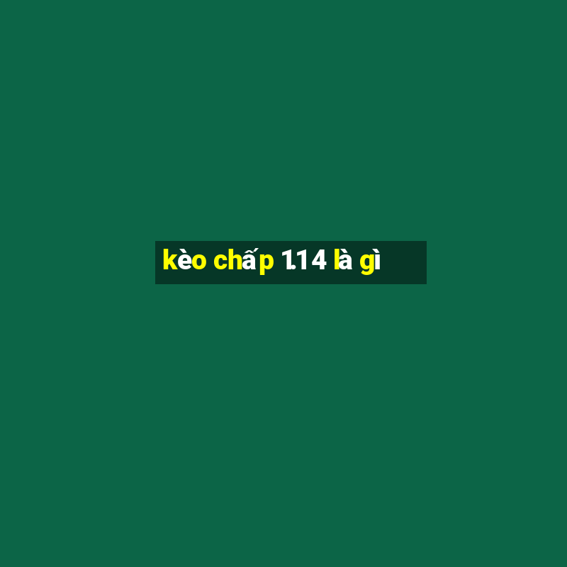 kèo chấp 1.1 4 là gì