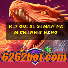 kết quả xổ số miền nam chủ nhật hàng