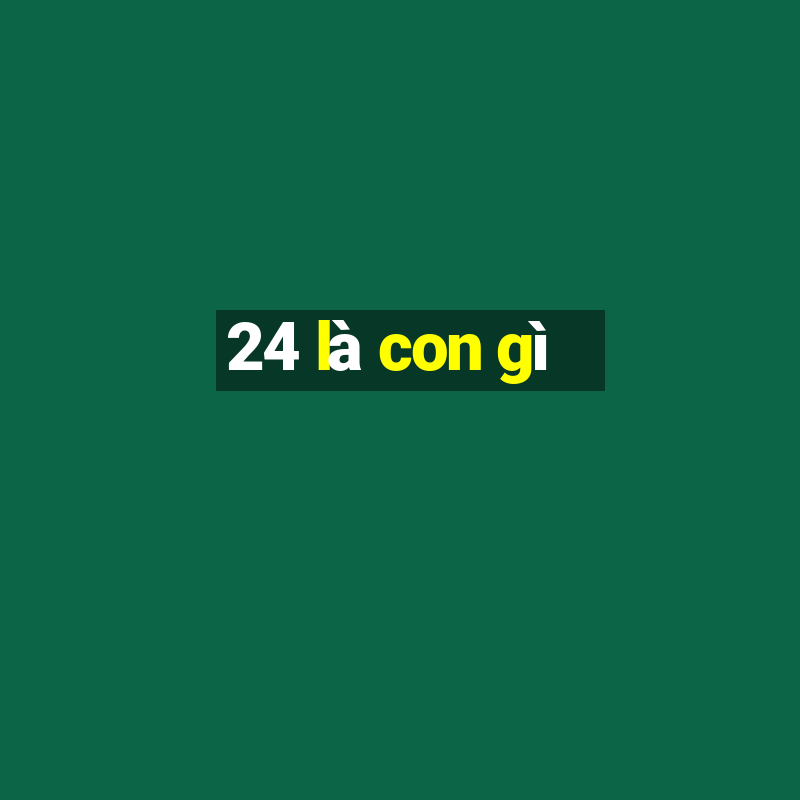 24 là con gì