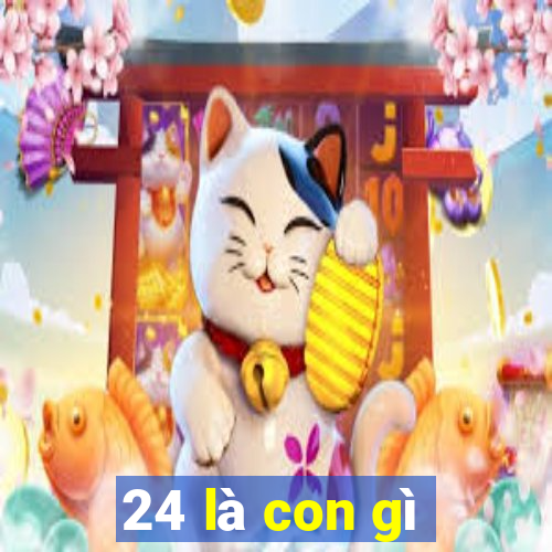 24 là con gì