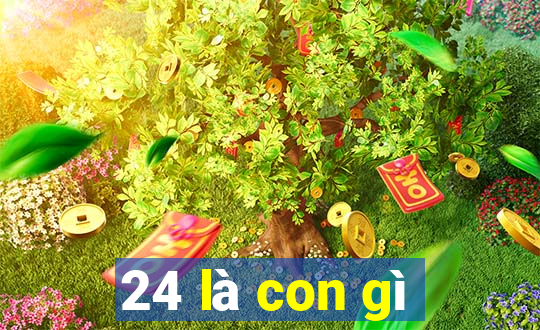 24 là con gì