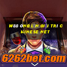 W88 Ông lớn giải trí Chinese Net