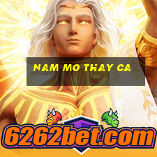 nam mo thay ca