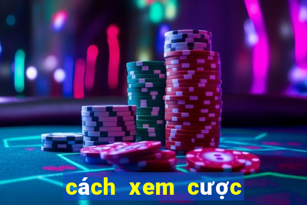 cách xem cược bóng đá