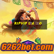 Ripvip Lừa Đảo