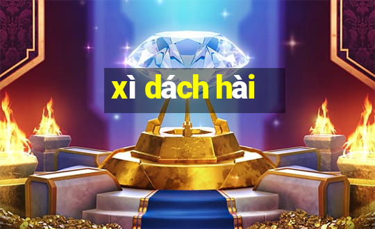 xì dách hài