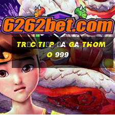 trực tiếp đá gà thomo 999