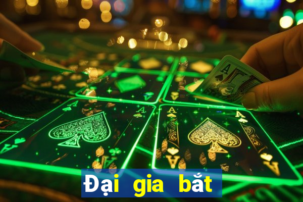 Đại gia bắt cá chia nhau