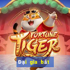 Đại gia bắt cá chia nhau