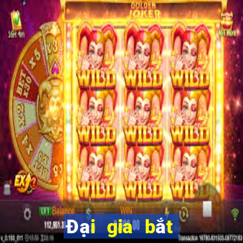 Đại gia bắt cá chia nhau