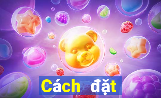 Cách đặt cược XSQT ngày 7