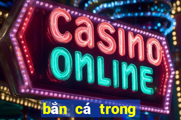 bắn cá trong siêu thị