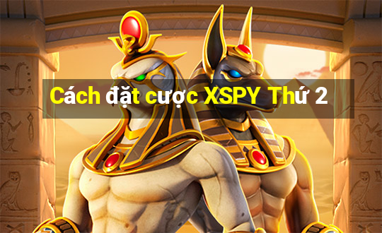 Cách đặt cược XSPY Thứ 2