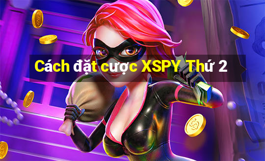 Cách đặt cược XSPY Thứ 2