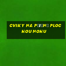 cviky na příčně plochou nohu