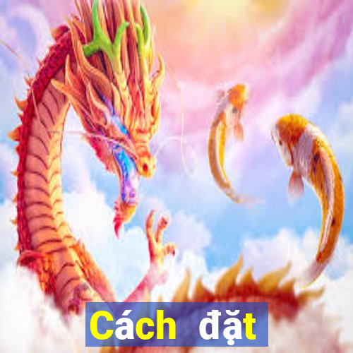 Cách đặt cược XSPY ngày 29