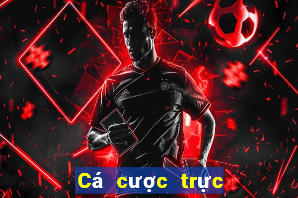 Cá cược trực tuyến saba68