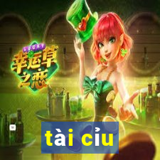 tài cỉu