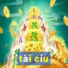 tài cỉu