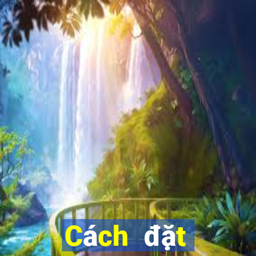 Cách đặt cược XSDNO ngày 8