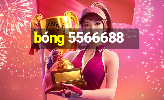 bóng 5566688