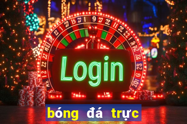 bóng đá trực tiếp c1