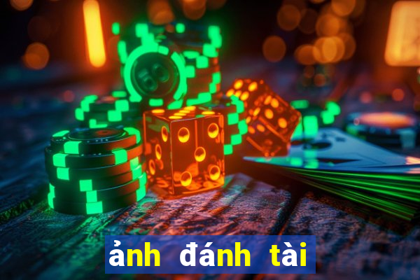 ảnh đánh tài xỉu thua