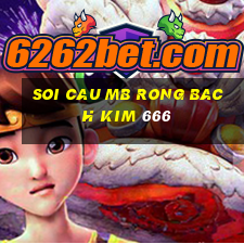 soi cau mb rong bach kim 666